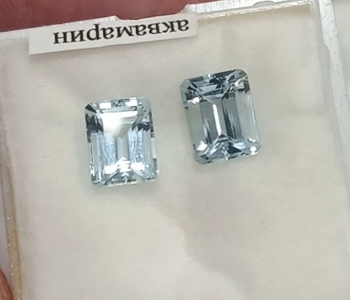  10056446